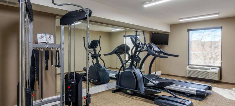 南切斯特菲尔德-科隆尼尔海次舒适酒店(Comfort Inn South Chesterfield - Colonial Heights)图片