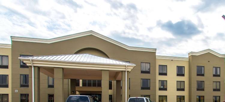 埃芬汉舒适套房酒店(Comfort Suites Effingham)图片