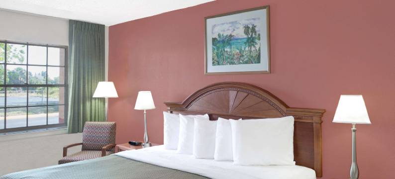 迈尔斯堡温德姆豪生酒店(Howard Johnson by Wyndham Ft. Myers FL)图片