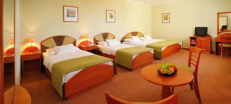 巴罗斯 - 悠幕酒店(Baross Hotel by Mellow Mood Hotels)图片