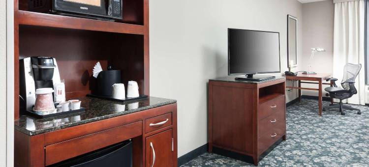 弗赖拉辛达拉斯希尔顿花园酒店(Hilton Garden Inn Dallas Frisco)图片