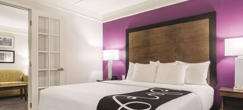 亚历山德里亚机场拉昆塔温德姆套房酒店(La Quinta Inn & Suites by Wyndham Alexandria Airport)图片