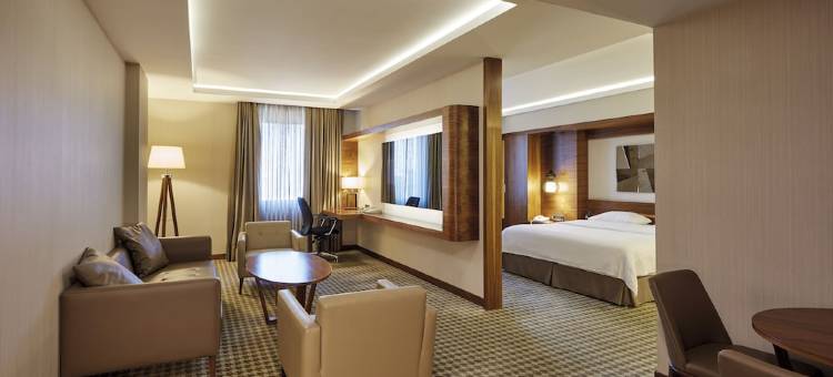 安卡拉海葵酒店(Anemon Kent Ankara Otel)图片