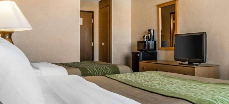 舒适酒店(Comfort Inn)图片