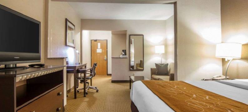 舒适套房酒店(Comfort Suites)图片