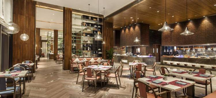 深圳龙华希尔顿逸林酒店图片