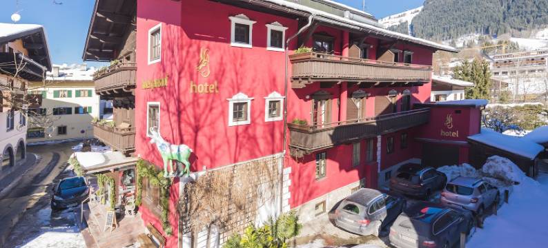 加姆斯霍夫酒店(Hotel Gamshof)图片