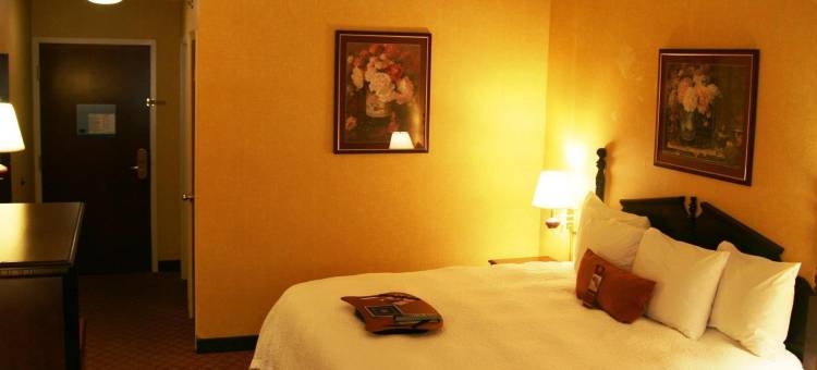 希尔顿欢朋酒店-卡罗尔顿(Hampton Inn Carrollton)图片