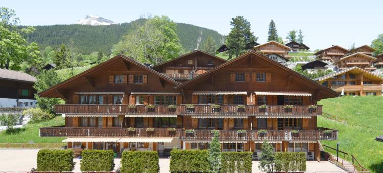 艾格尔公寓式酒店-格林德瓦(Aparthotel Eiger - Grindelwald)图片
