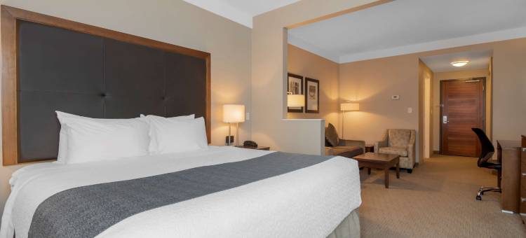 雷夫尔斯托克贝斯特韦斯特优质酒店(Best Western Plus Revelstoke)图片