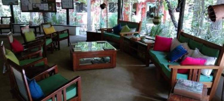 Kanha Jungle Lodge图片