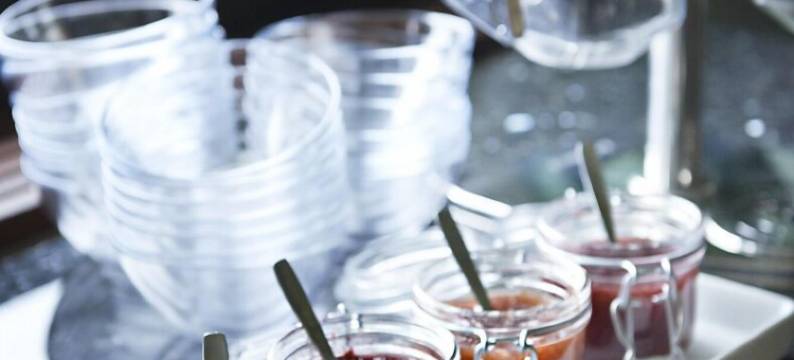 速特酒店(Hotel Surte)图片