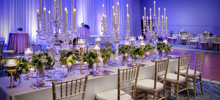 杜勒斯凯悦酒店(Hyatt Regency Dulles)图片