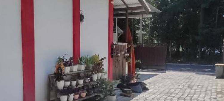 Krui Penginapan Jokowi图片