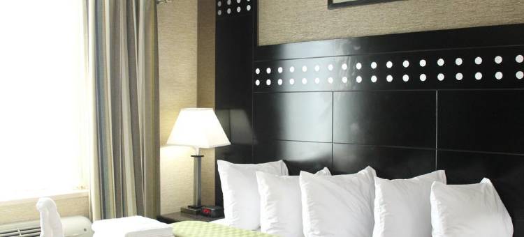 布朗克斯动物园罗德威旅馆(Rodeway Inn Bronx Zoo)图片