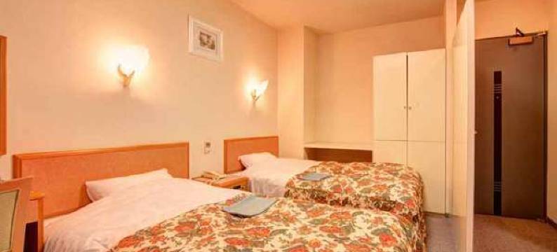 岩川商务酒店(Business Hotel Iwagawa)图片