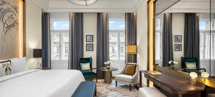 布达佩斯玛蒂尔达皇宫，豪华精选酒店(Matild Palace, a Luxury Collection Hotel, Budapest)图片