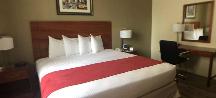 牙买加贝斯特韦斯特酒店(Best Western Jamaica Inn)图片