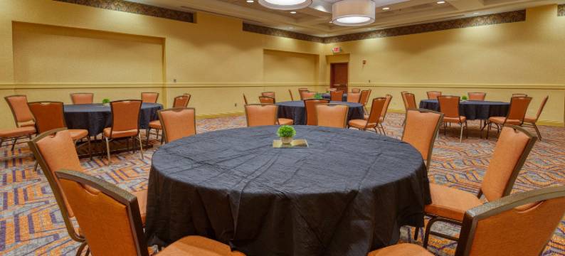 印第安纳波利斯东北德鲁里套房酒店(Drury Inn & Suites Indianapolis Northeast)图片