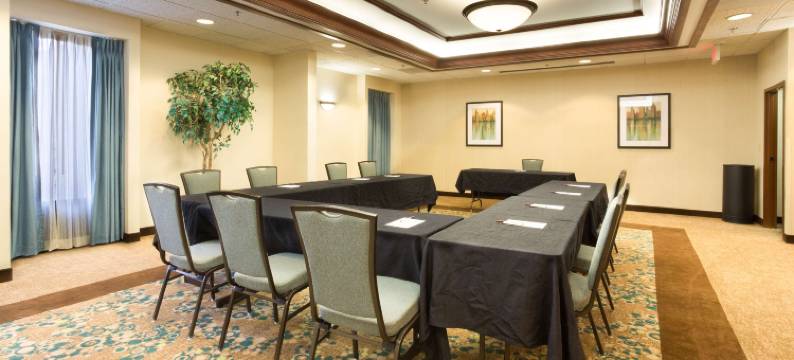 明翰湖滨大道德鲁里套房酒店(Drury Inn & Suites Birmingham Lakeshore Drive)图片