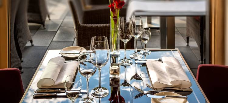 佛莱堡多林特温泉酒店(Dorint Thermenhotel Freiburg)图片