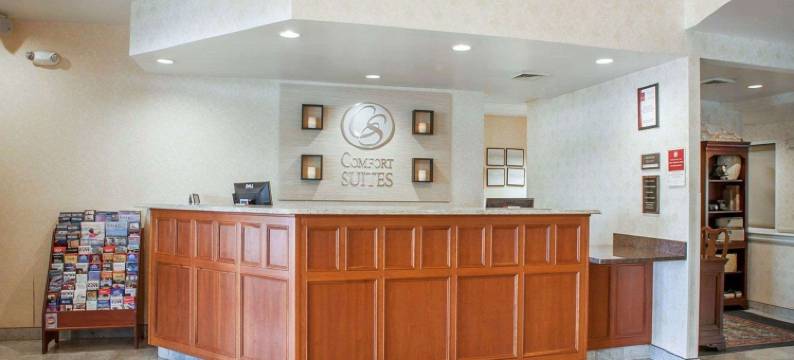 西沃里克 - 普罗维登斯舒适套房酒店(Comfort Suites West Warwick - Providence)图片