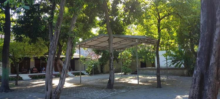 坦博拉酒店(Tambora Hotel)图片