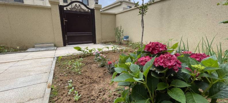 拾光管家度假别墅(武夷路分店)图片