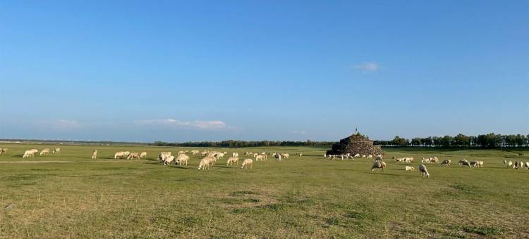 张北爱多多民宿(察哈尔南大街分店)图片