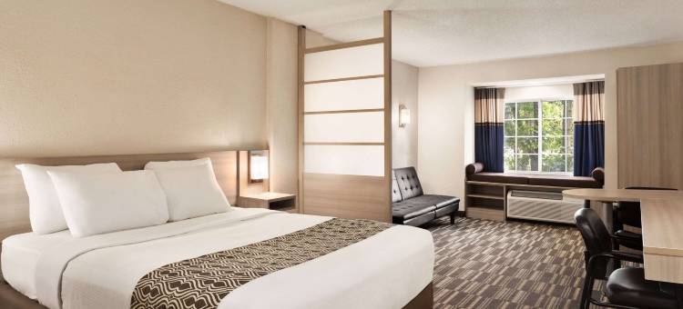 弗洛伦斯-辛辛那提机场麦客达套房酒店(Microtel Inn & Suites by Wyndham Florence/Cincinnati Airport)图片