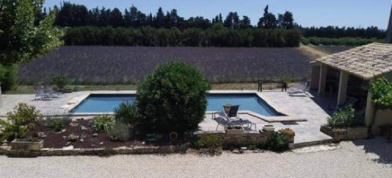 马斯卡吕酒店(Le Mas des Calus Chambres d'hôtes)图片