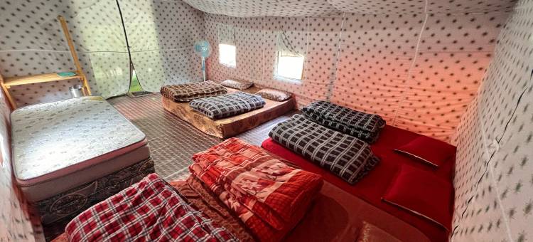 North Deodar Camps图片