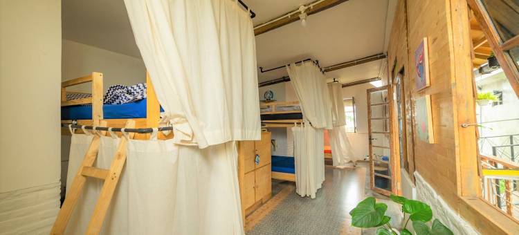 布罗莫BnB背包客快乐之家(Happy House Bnb Bromo Backpacker)图片