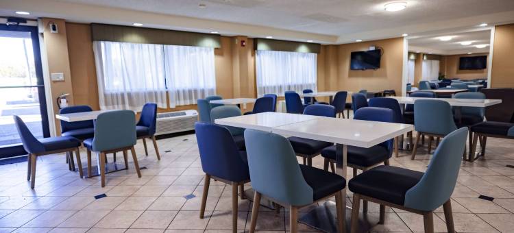 坦帕拉昆塔温德姆酒店-近布希花园(La Quinta Inn by Wyndham Tampa Near Busch Gardens)图片