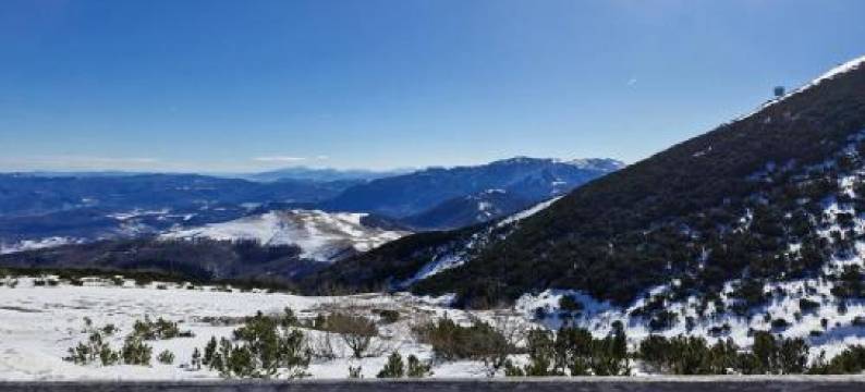 Pineta Apartman Bjelasnica图片