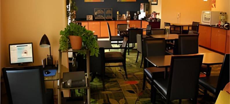 兰辛西万枫酒店(Fairfield Inn & Suites Lansing West)图片