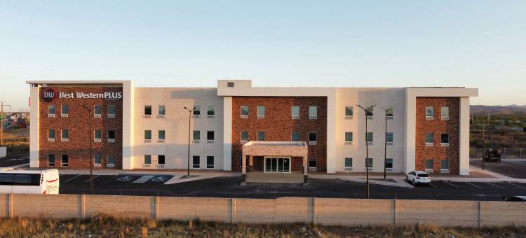 Best Western Plus Sacramento图片