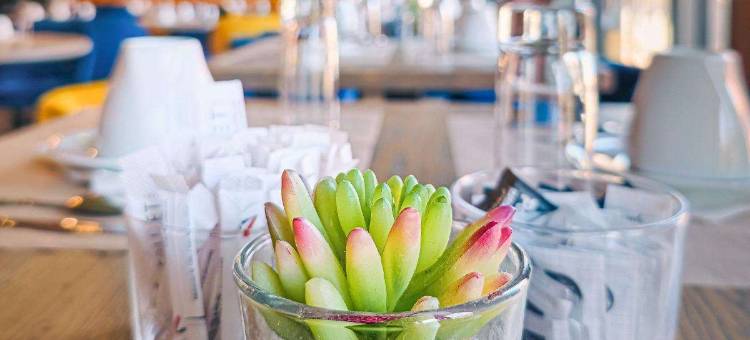 道费内大酒店(Grand Hôtel Dauphiné, Boutique Hôtel & Suites)图片