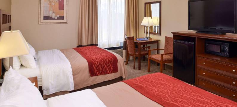 迪克森舒适酒店(Comfort Inn)图片