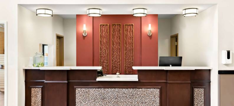 巴尔米拉贝斯特韦斯特套房酒店(Best Western Palmyra Inn  Suites)图片