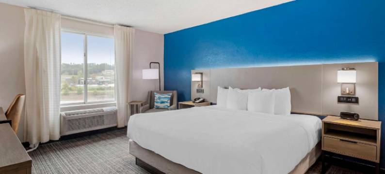 舒适酒店及套房科尔宾北部(Comfort Inn & Suites Corbin North)图片