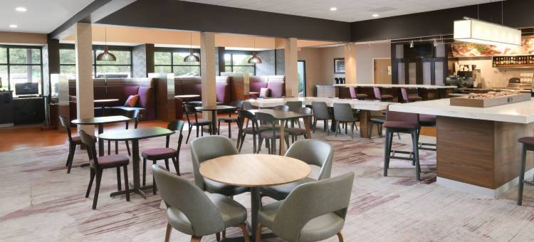 达拉斯沃斯堡国际机场北/欧文万怡酒店(Courtyard Dallas DFW Airport North/Irving)图片