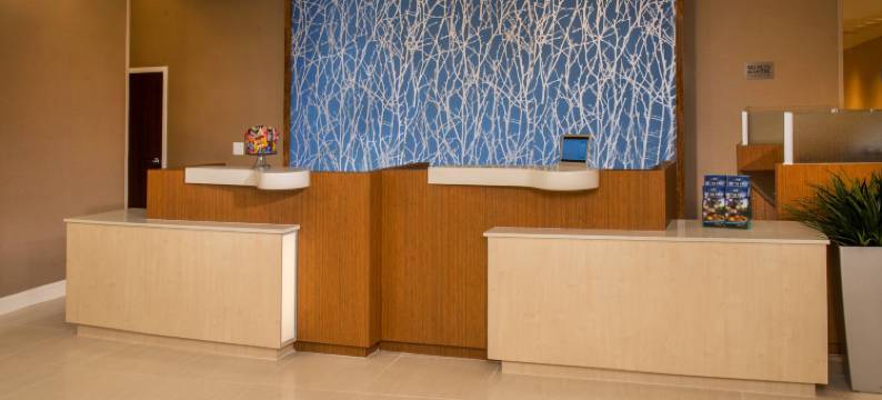 华盛顿万枫酒店及套房(Fairfield Inn & Suites Washington)图片