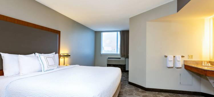迈阿密机场南SpringHill Suites 酒店(SpringHill Suites by Marriott Miami Airport South Blue Lagoon Area)图片