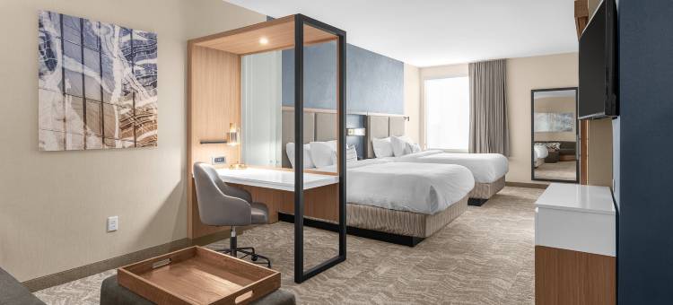 杰克逊万豪SpringHill Suites酒店(SpringHill Suites Jackson)图片