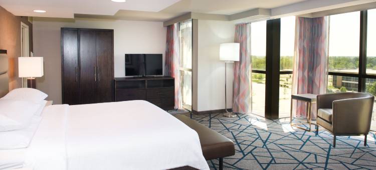 底特律利沃尼诺维希尔顿安泊酒店(Embassy Suites by Hilton Detroit Livonia Novi)图片