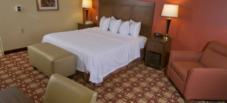 威金斯欢朋套房酒店(Hampton Inn & Suites Wiggins)图片