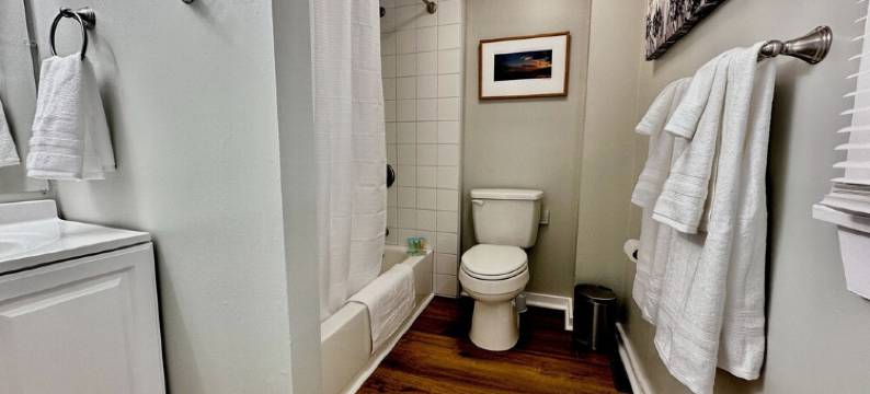 Treeview - Cozy 2 BR Apartment -  Fast WiFi ~ 1 hr from NYC - 5 mins to downtown图片