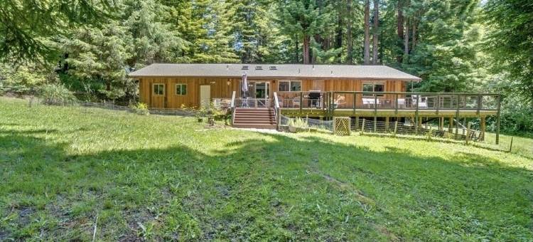 Peaceful, private 3BD home nestled in the redwoods图片