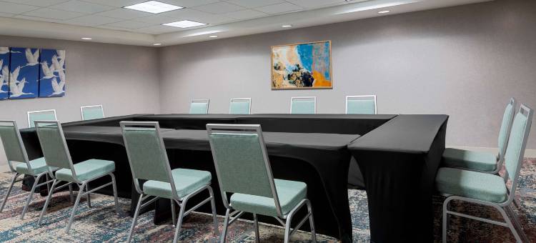 希尔顿坦帕机场-西岸家木套房酒店(Homewood Suites by Hilton Tampa Airport-Westshore)图片